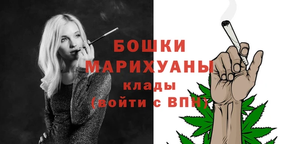 индика Нефтекумск
