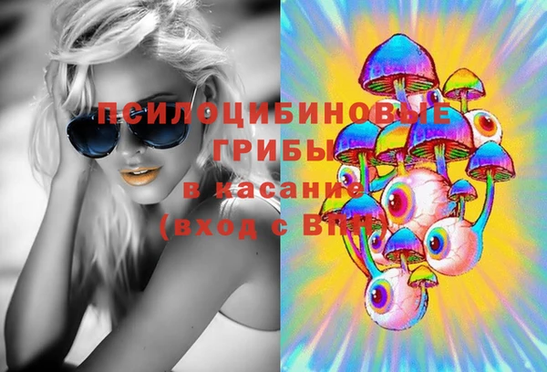 индика Нефтекумск