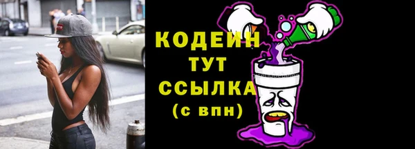 индика Нефтекумск