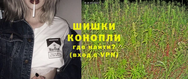 индика Нефтекумск